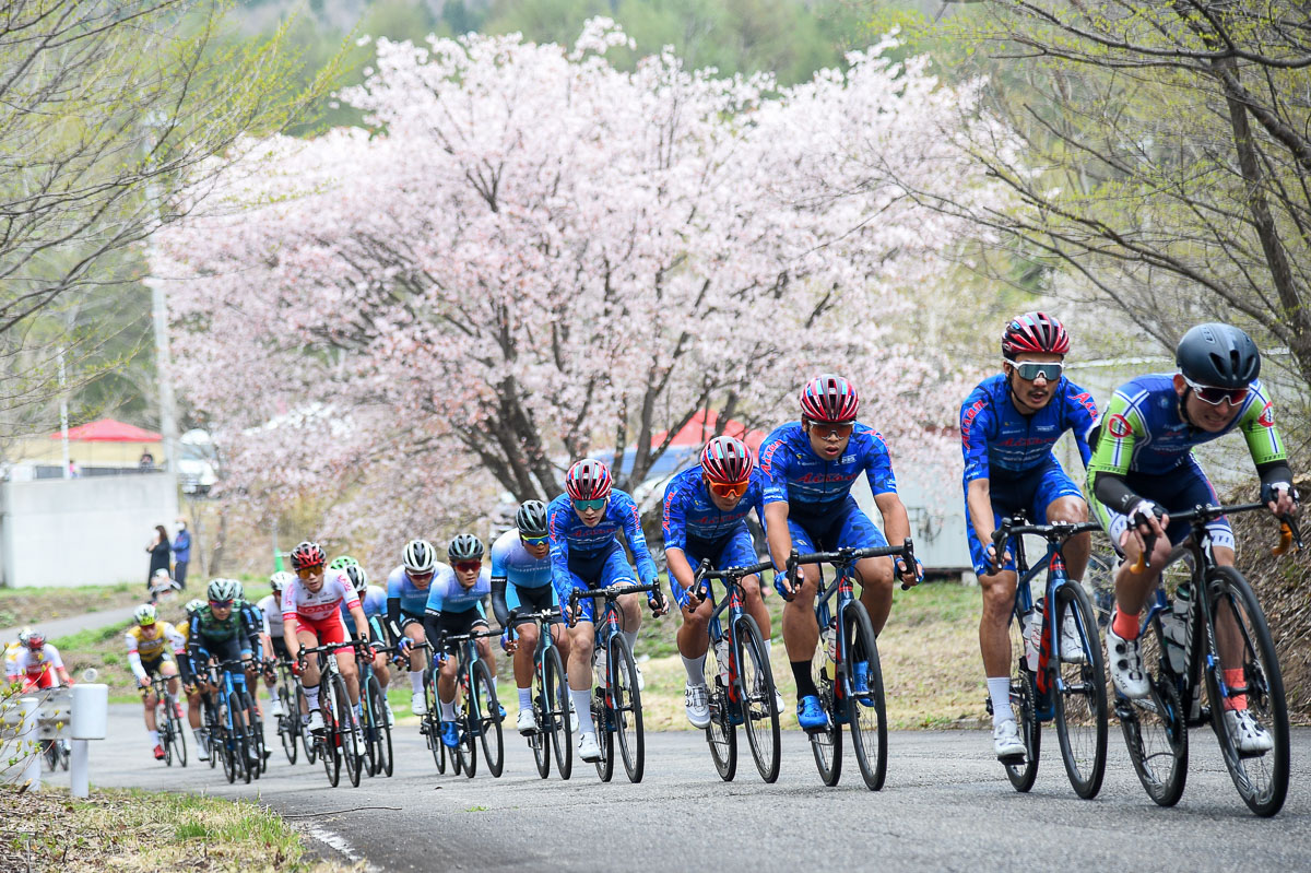 山桜の前を一列棒状で通過していく