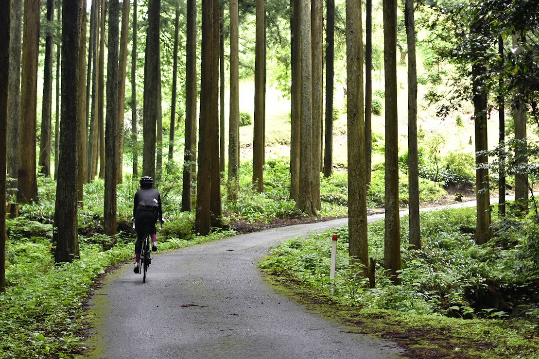 走行距離60km、獲得標高1400ｍほどのヒルクライムサイクリング