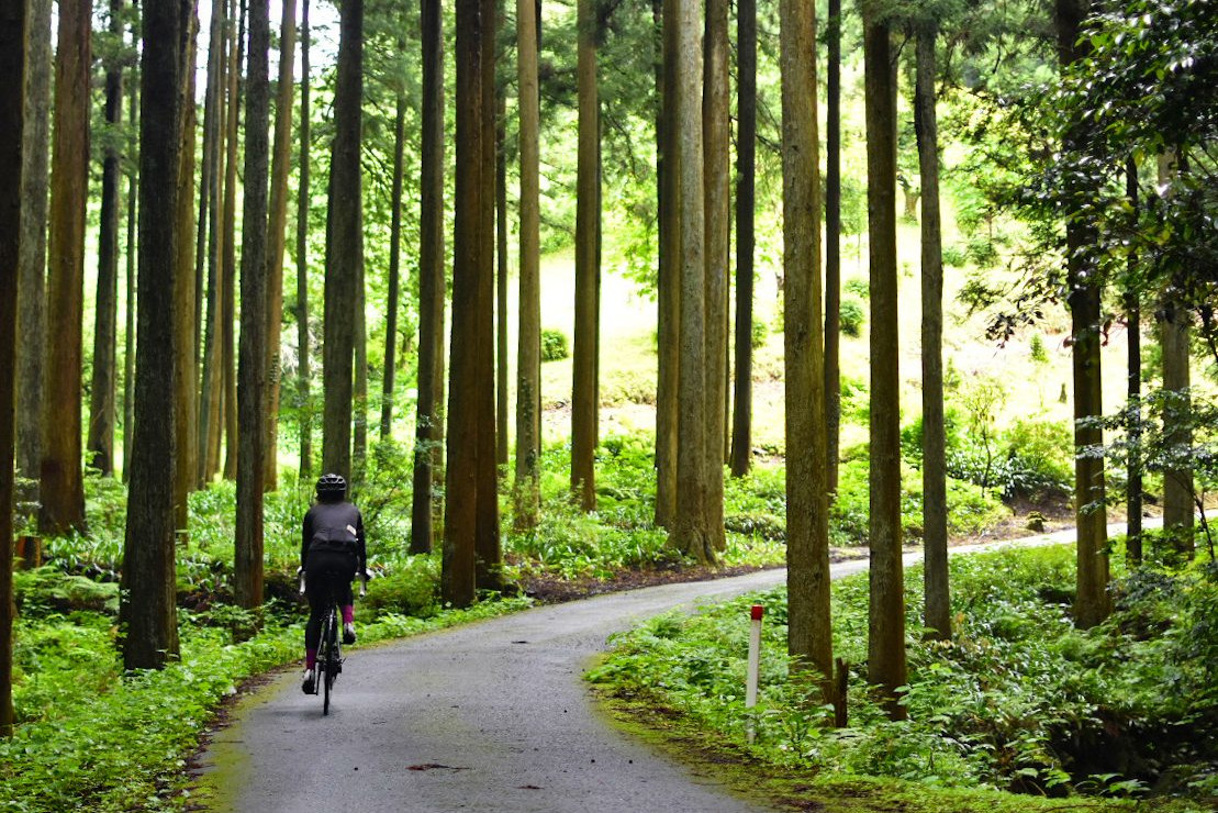 走行距離60km、獲得標高1400mほどのヒルクライムサイクリング