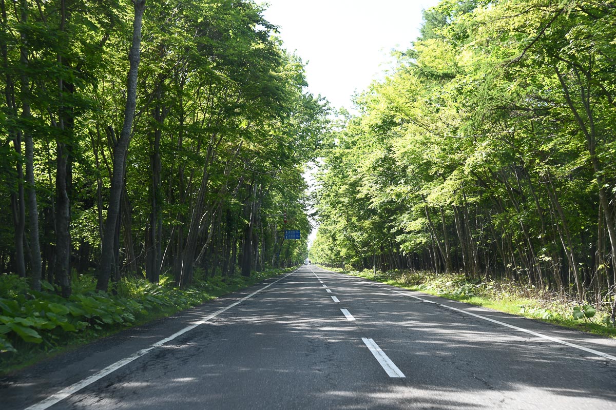 第3ステージ　支笏湖から苫小牧に向かう道は直線長めの下り基調