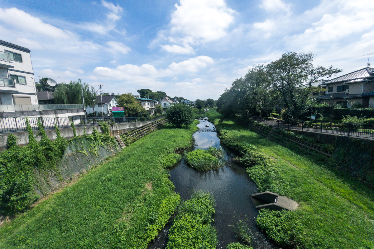 野川サイクリングロードをはじめ自然豊かな一帯だ