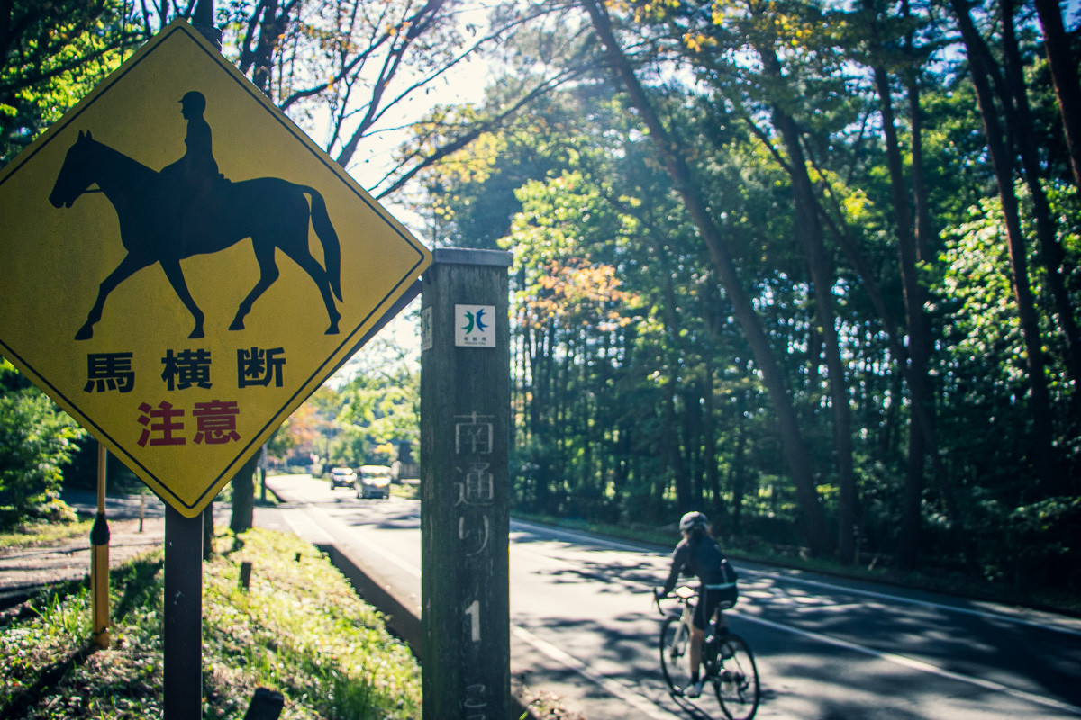 馬横断注意!