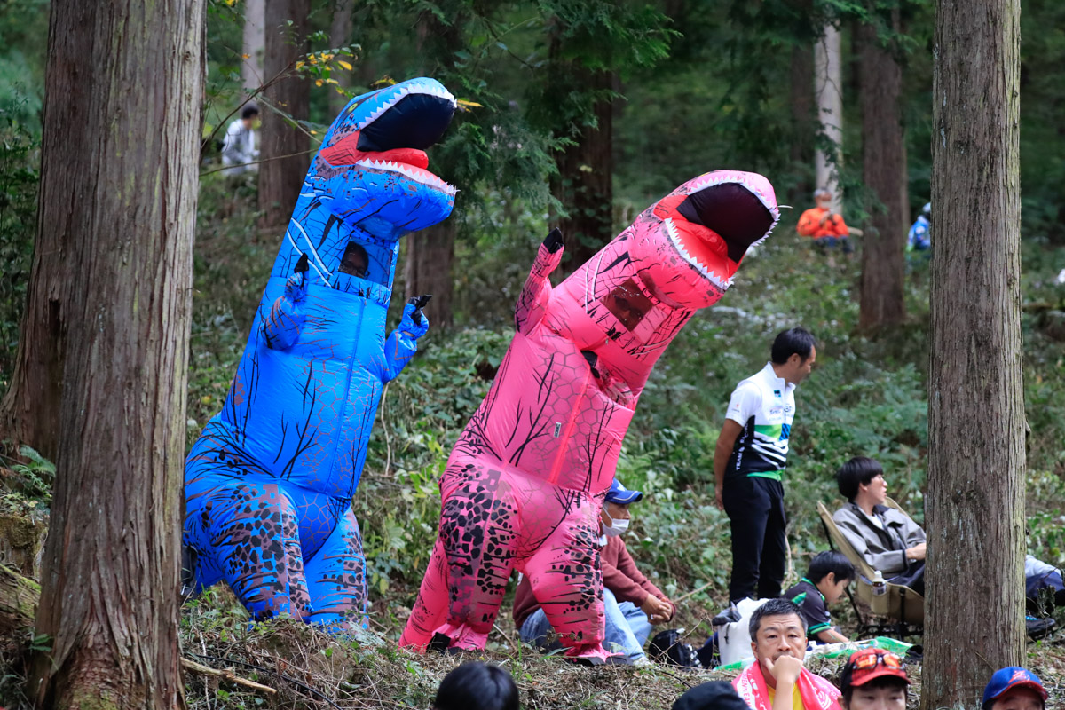 ブルーとピンクのダイナソーが古賀志林道の沿道に2匹居た