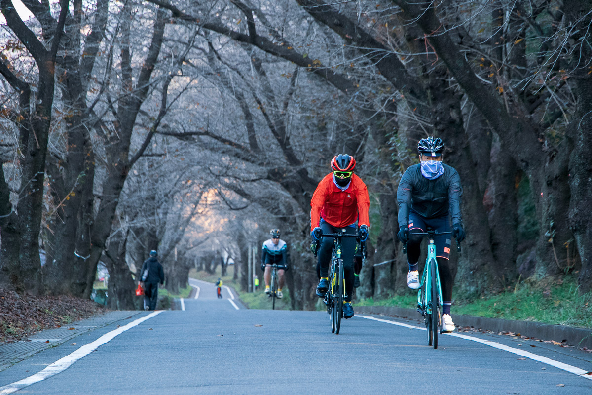 早速赤城南面千本桜を下る。春には桜のトンネルになるとのこと