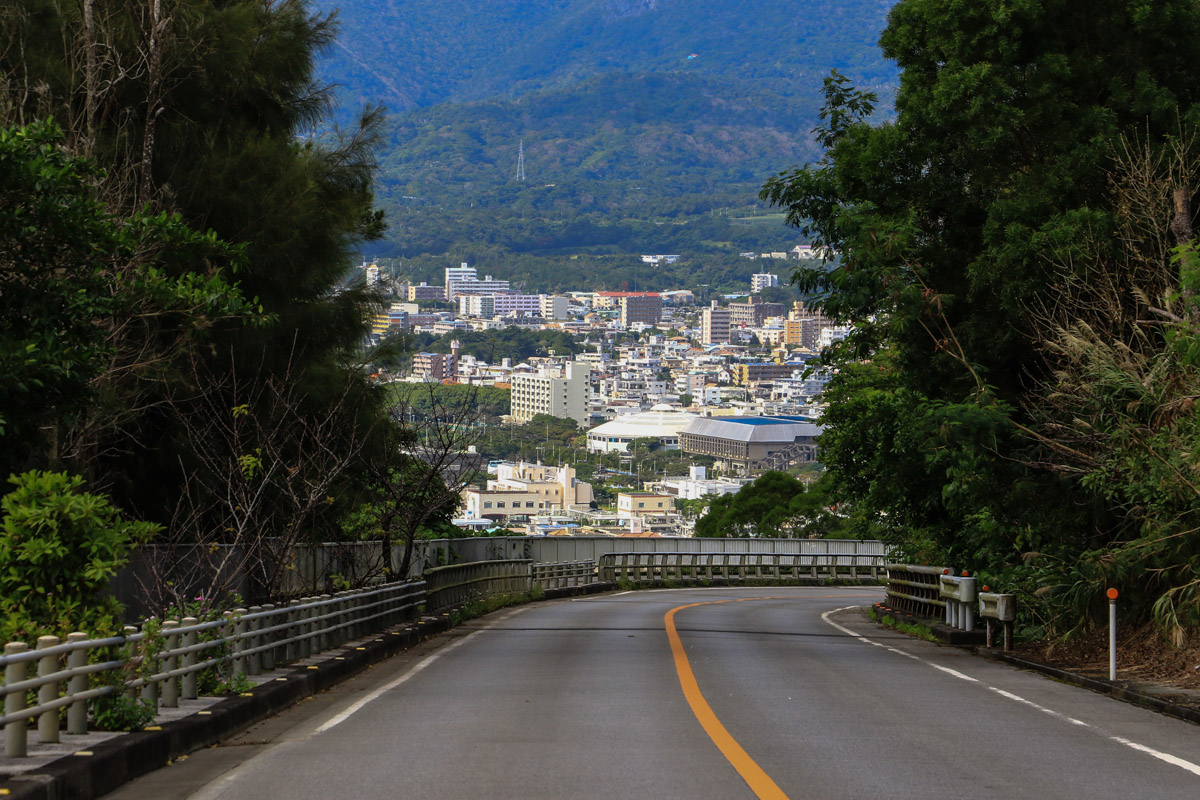 平坦が終わると直線的に下り始める。先に名護市街が見えてくる