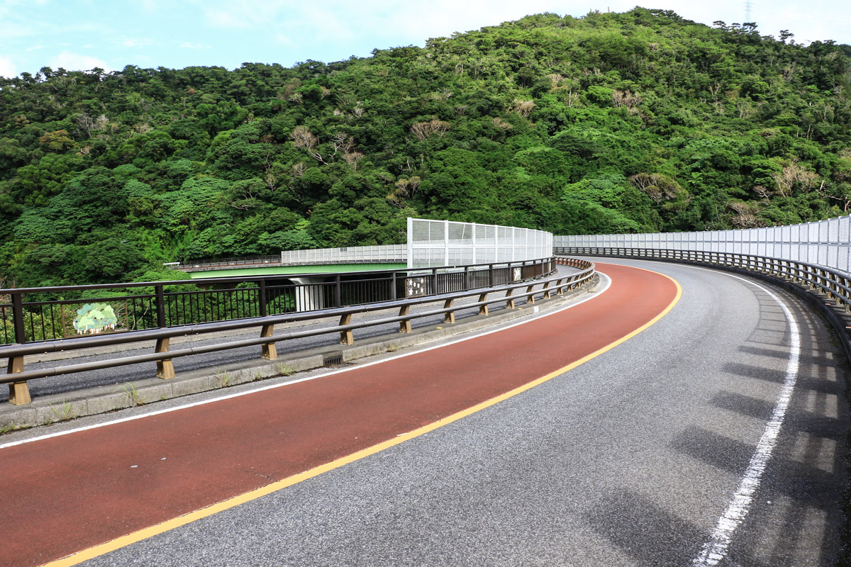 陸橋の最高速度での左急コーナーで名護市街へ