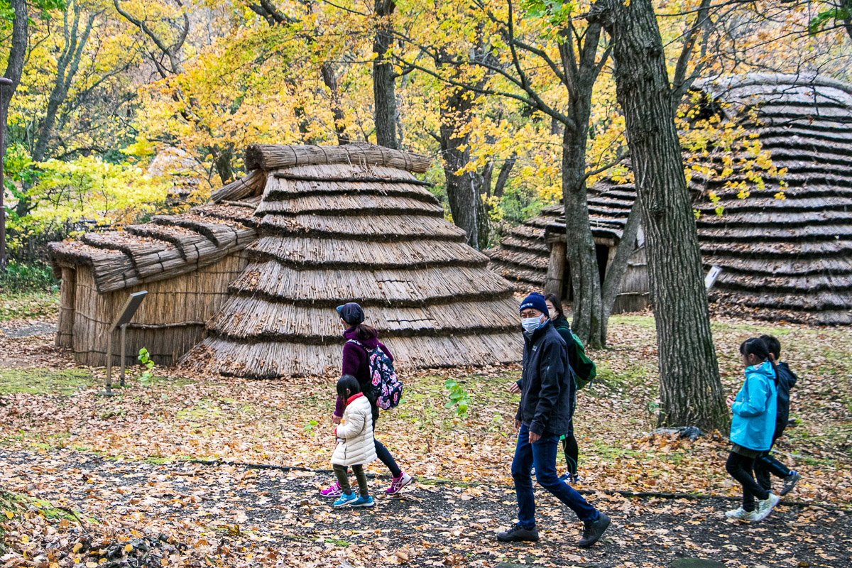 時代ごとの住居が再現されるところ遺跡の森