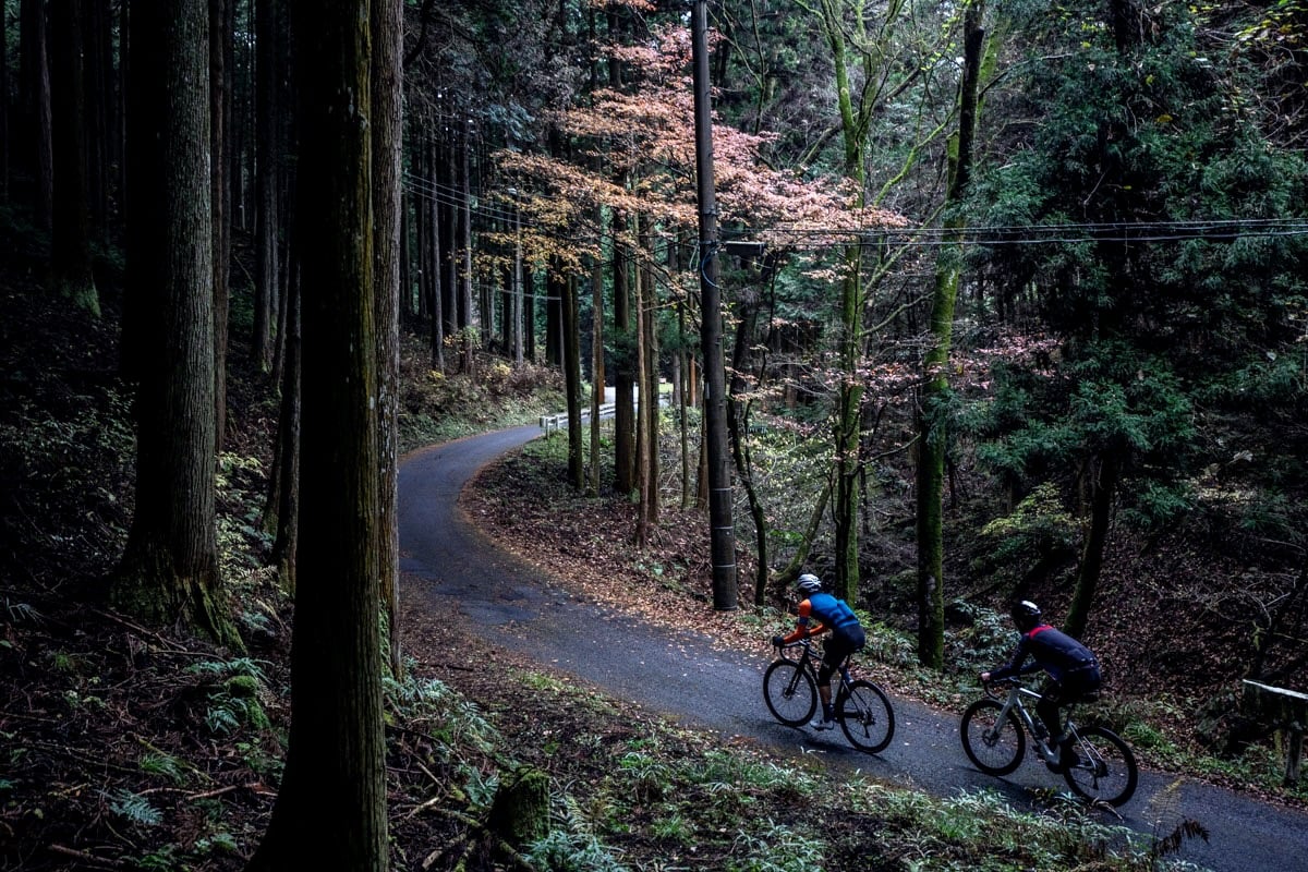 ことの発端は、埼玉の山に囲まれたエリアに拠点を移したことだった