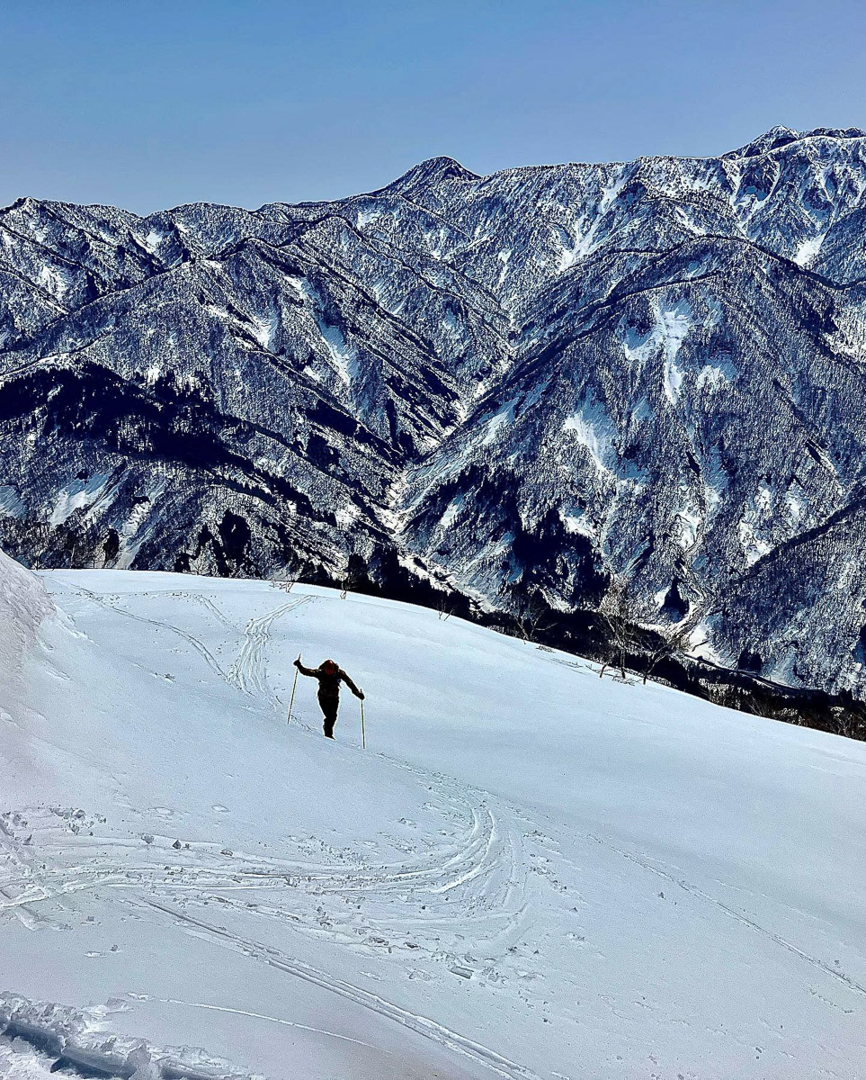 雄大な白馬の山を滑り降りる