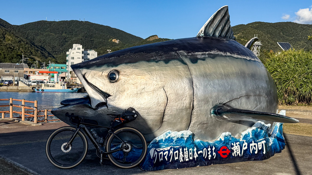 奄美最果ての西古見集落、フェリーで渡る加計呂麻島へ - オールロード
