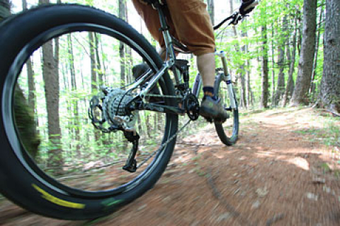 マウンテンバイクで山林再生 長野県伊那市の取り組みとは シマノ トレイルライド伊那キャンプレポート Cyclowired