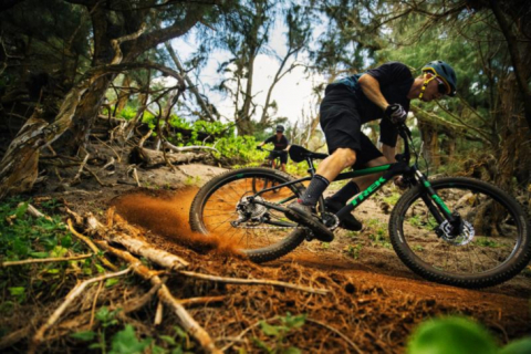 トレイルを楽しめる27.5+タイヤの遊び系ハードテールMTB トレック