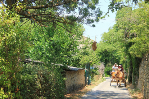 南フランスの美しい村をe Bikeでサイクリング プロヴァンスの美しい村編 目黒誠子の南フランスe Bikeの旅 Cyclowired