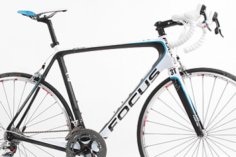 focus izalco team