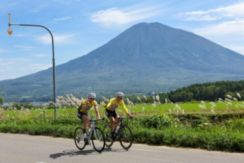 北海道の公道を走る長距離ロードレース ニセコクラシック 7月13日に初開催 140kmの長距離市民レースがニセコに誕生 Cyclowired