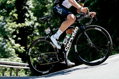 MASI | cyclowired