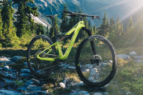 mtb scalpel