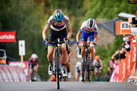 フレーシュ ワロンヌ Cyclowired フレーシュ ワロンヌ Cyclowired