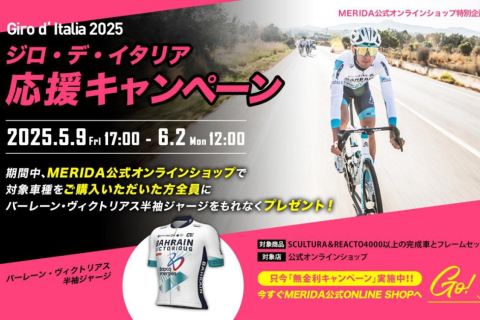 デマルキ コンツアー