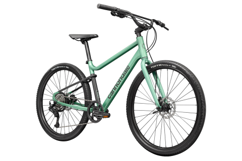 ジャンプやトリックを決めて自転車で遊びつくそう キャノンデール Dave