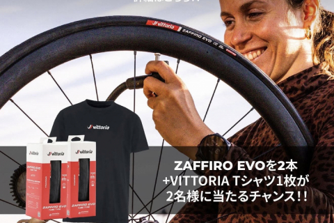 マリアローザをモチーフとした記念サドル セライタリア SLR Giro d